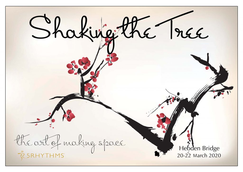 shakingthetree2